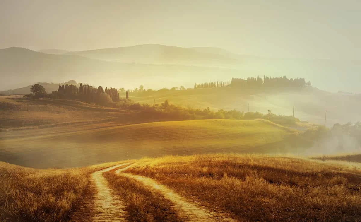 shutterstock_2196487449